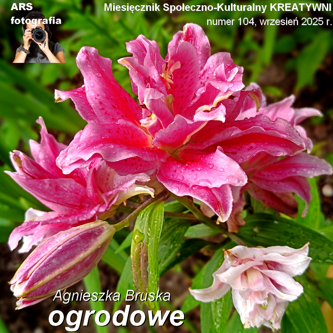 ogrodowe