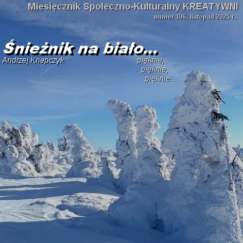 Snieżnik na biało: 28 listopada 2025 / Andrzej Knapczyk