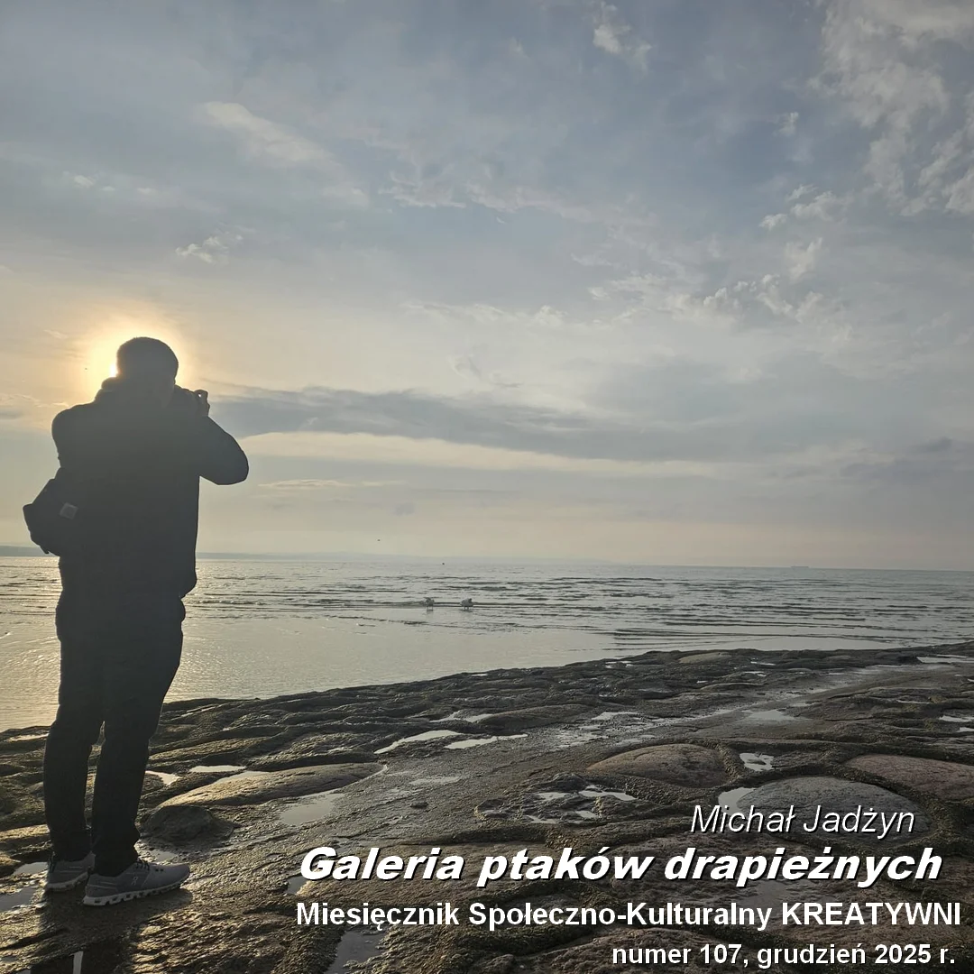 Galeria ptaków drapieżnych / Michał Jadżyn