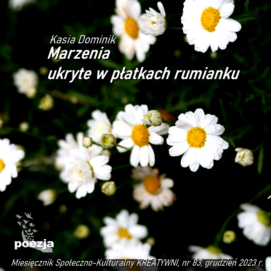 Marzenia ukryte w płatkach rumianku / Kasia Dominik