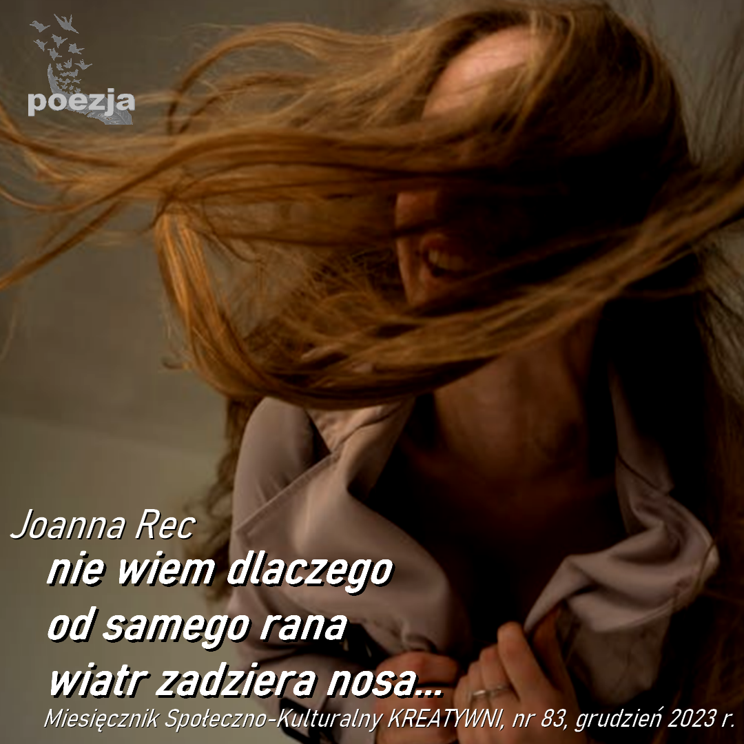 Nie wiem dlaczego [...] wiatr zadziera nosa / Aśka Rec